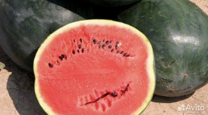 Фрукты овощи