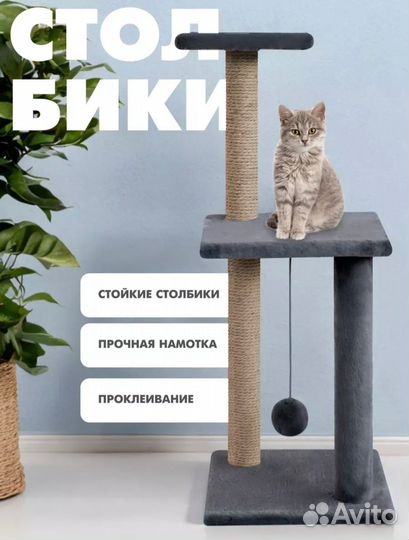 Когтеточка