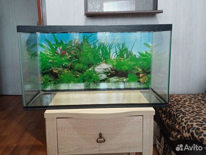 Аквариум