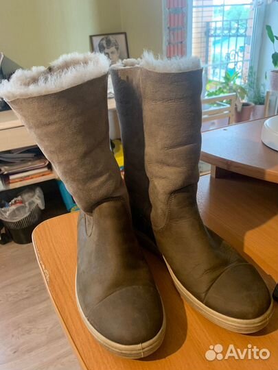 Женские сапоги ecco