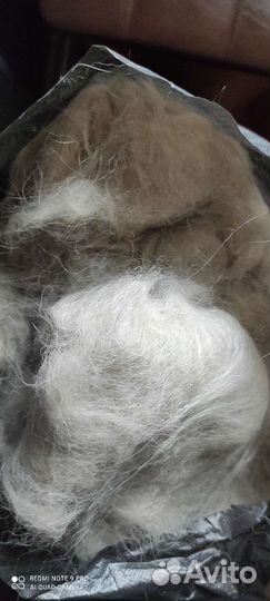 Собачья шерсть