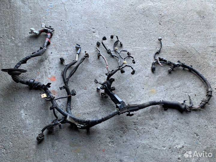 Проводка двс Toyota Kluger V ACU20W 2azfe 2001
