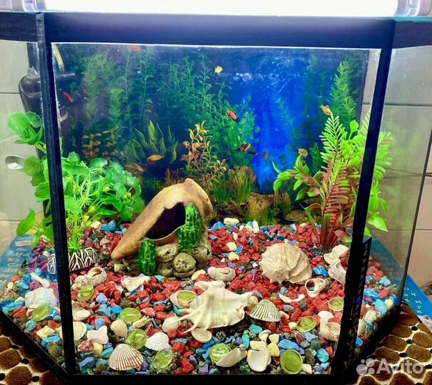 Аквариум