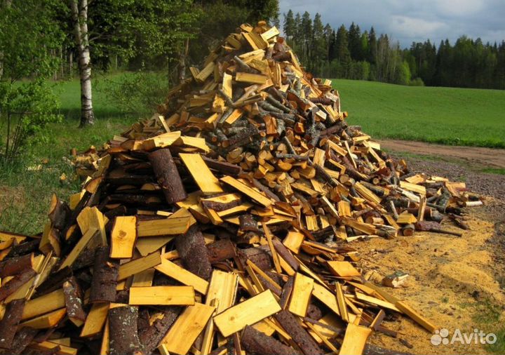 Дрова осина