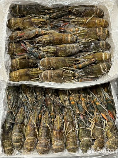 Мороженные раки