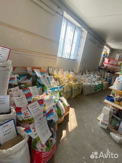 Люцерна семена