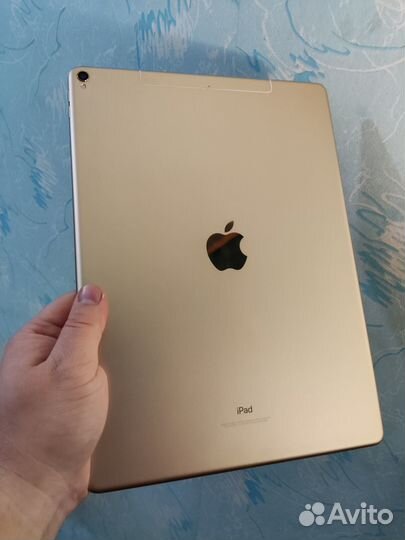 iPad Pro (12.9-inch) (2nd generation) Wi-Fi + Cell
