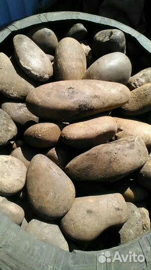 Голыш для бани