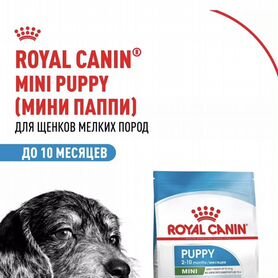 Корм для собак royal canin