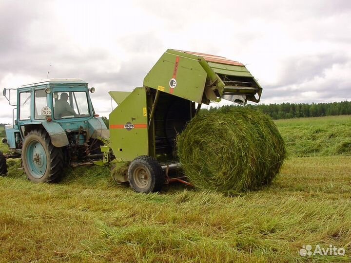 Луговое сено в рулонах и тюках