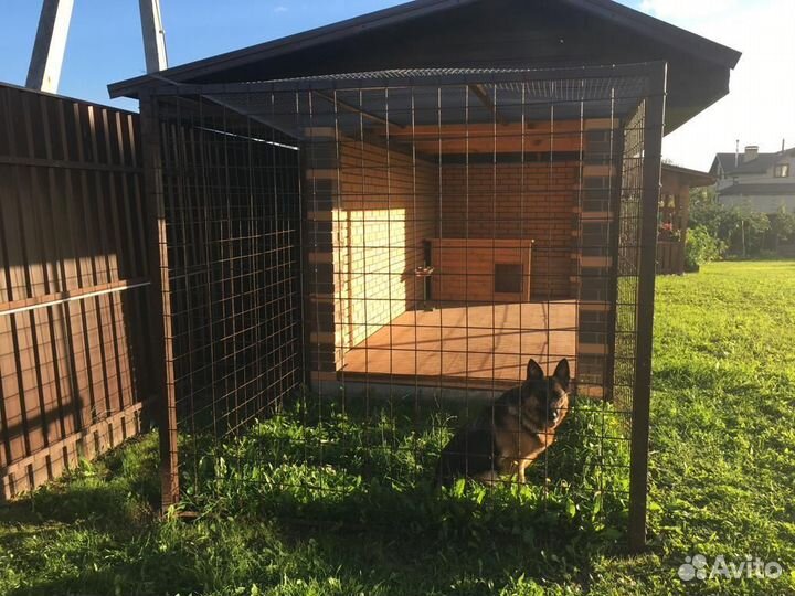 Передержка в вольере за городом