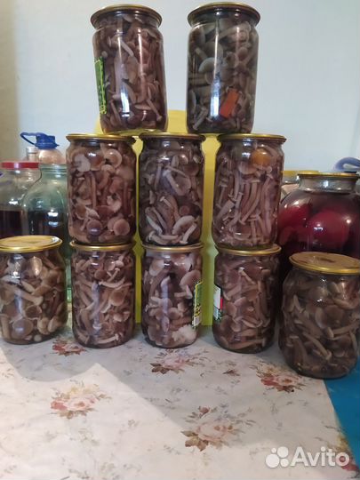 Грибы опята маринованные