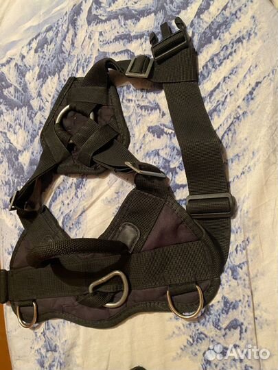 Шлейка для собаки и намордник