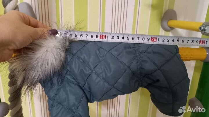 Комбинезон для собаки