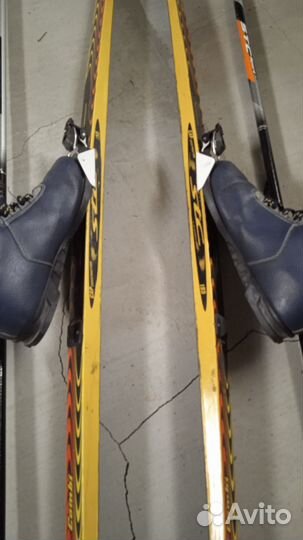 Беговые лыжи