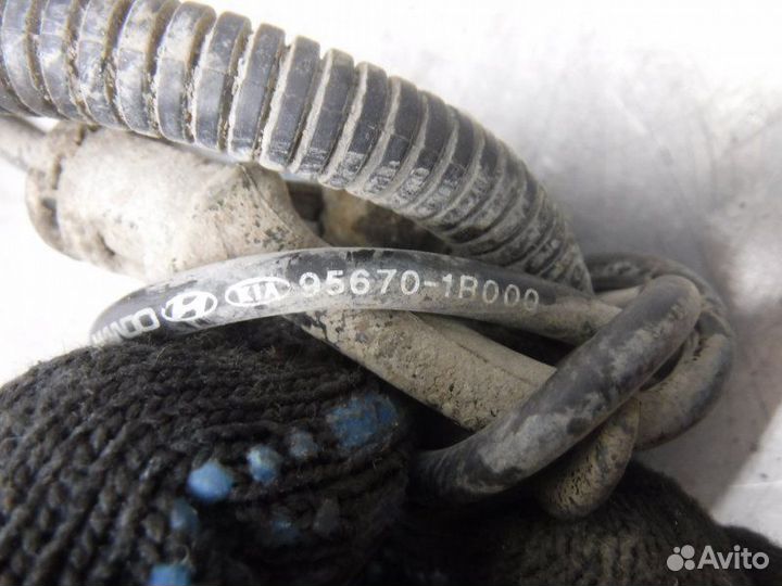 Датчик abs передний левый Hyundai Solaris G4FC