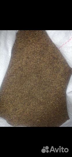 Семена люцерны