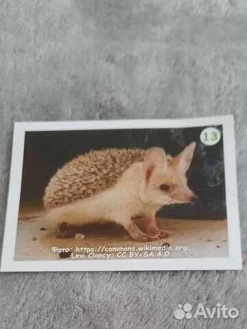 Наклейки Монетка от Урала до Ямала