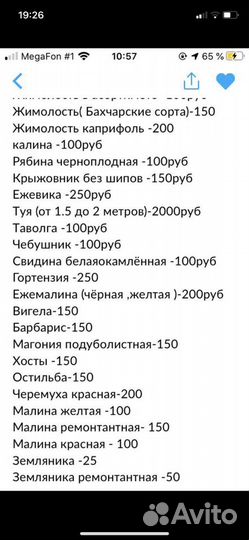 Саженцы плодовых и декоративных культур