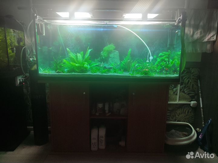 Аквариум 240 литров