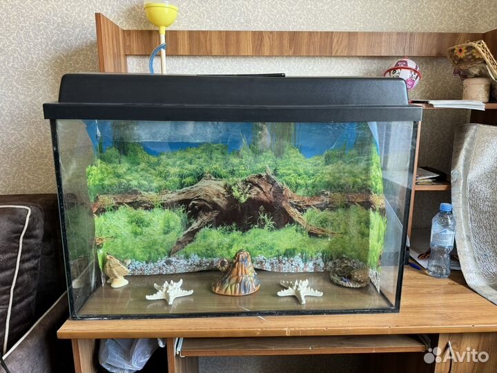 Аквариум с крышкой