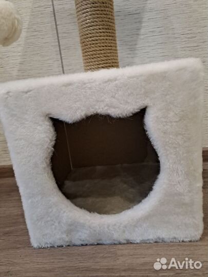 Когтеточка