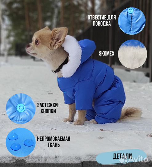 Зимний комбинезон для маленькой собачки