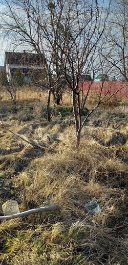 Участок 5 сот. (ИЖС)