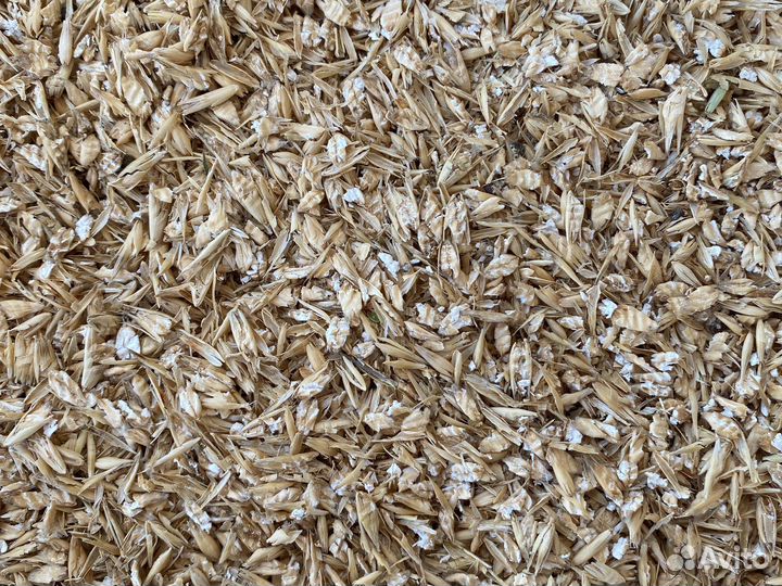 Комбикорм и зерно