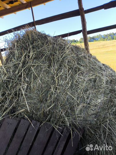 Сено в тюках
