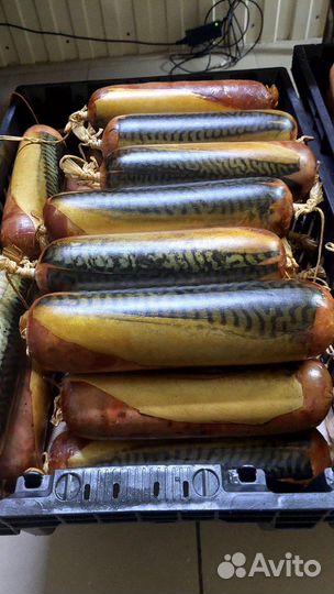 Пищевой технолог