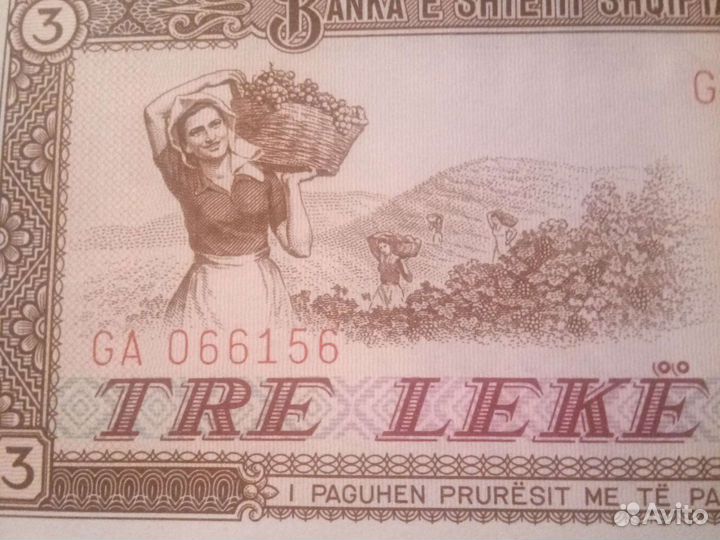 Банкнота Албания 3 Лека 1964 UNC