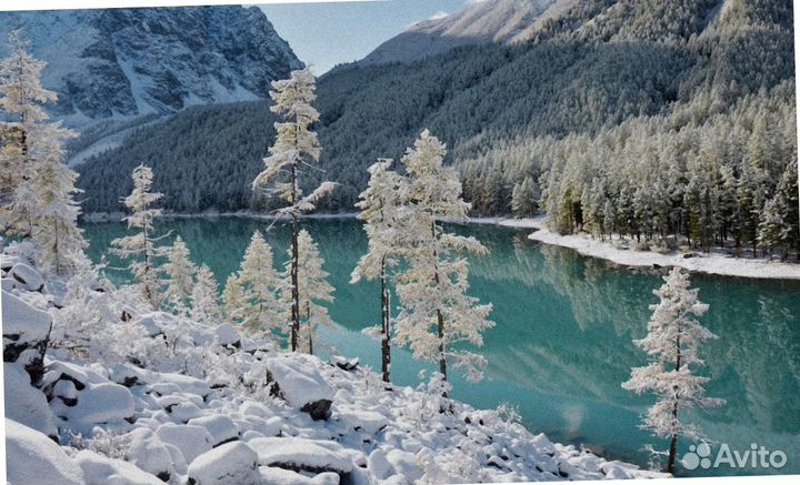 Алтай зимний тур программы до 7 дней