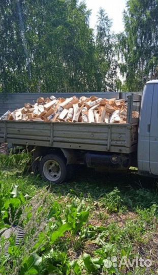 Дрова береза