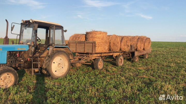 Солома в рулонах