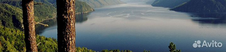 Весенний вояж по Алтаю