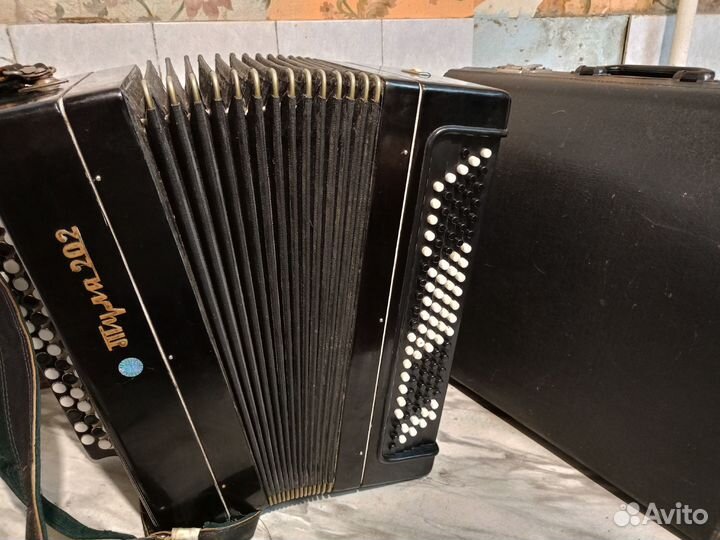 Баян Тула 202