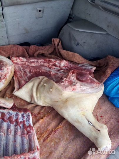 Мясо свинина