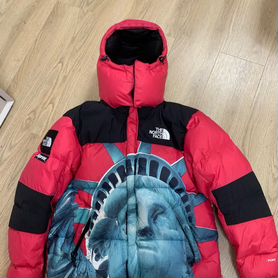 the north face x supreme