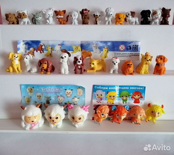 Не киндер кошечки собачки. Животные спортивные