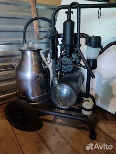 Доильный аппарат для коров