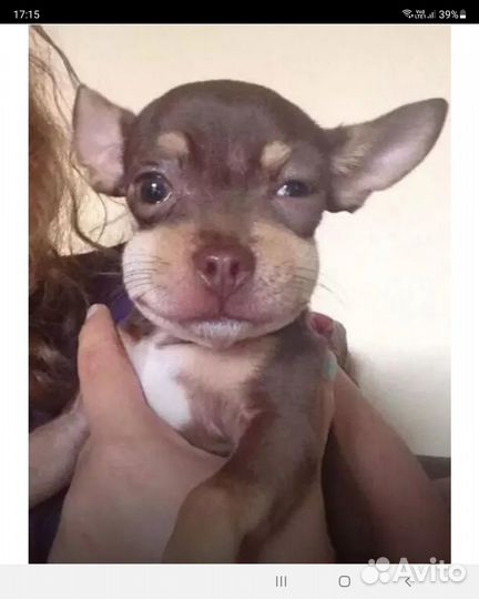 Krell mcintosh выбoраудиo N20