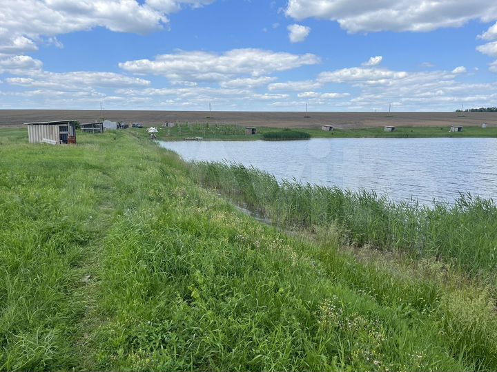 Участок 2,6 га (СНТ, ДНП)