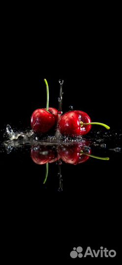 Защита от ветра, сухости. Питание и увлажнение