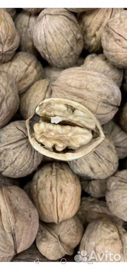 Грецкий орех