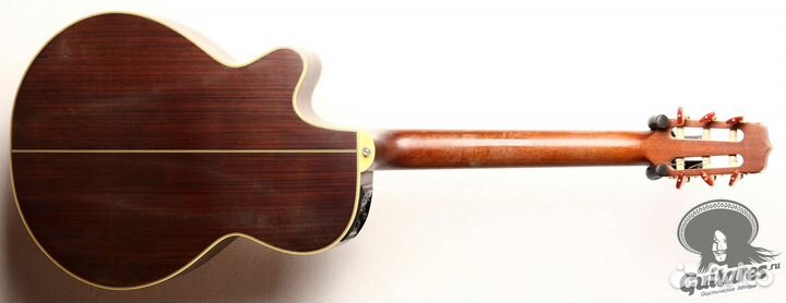 Takamine NPT-110N, Japan 2002