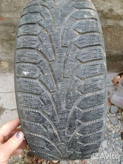 Nordman WR 195/55 R15