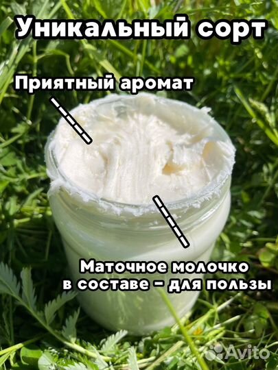 Мед аккураевый