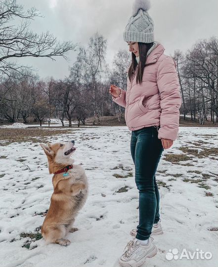 Кинолог. Химки-Москва