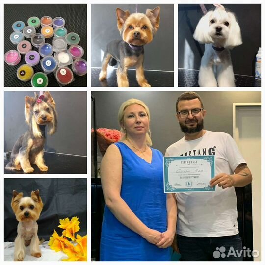 Красота и Настроение за достойное вознаграждение